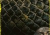 Beware Boi na <br />&copy;  Constantin Film
