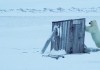 Frost ohne Schnee und Eis