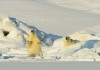 Frost ohne Schnee und Eis