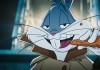 Coyote vs. Acme