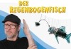 Der Regenbogenfisch