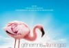'Das Geheimnis der Flamingos' <br />©  Disney