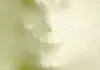 The Frighteners <br />©  United International Pictures