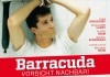 Barracuda - Vorsicht Nachbar