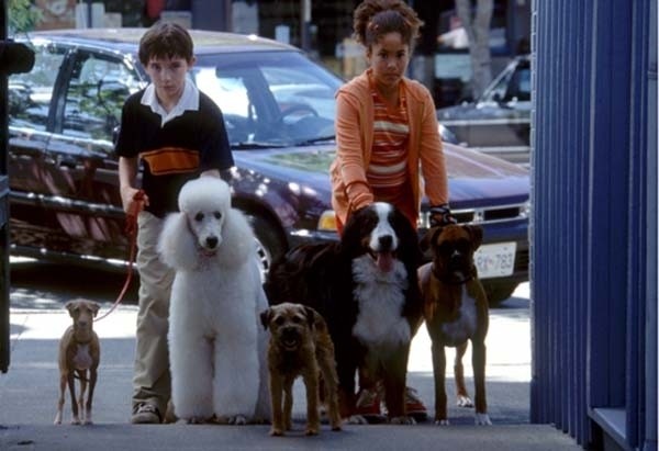 Owen (Liam Aiken) und Connie (Brittany Moldowan) mit...ry Fox