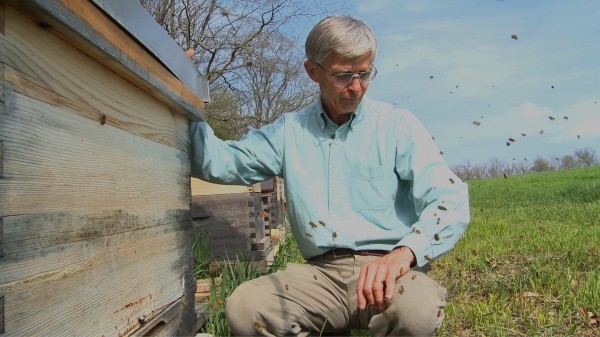 Queen of the Sun: What Are the Bees Telling Us? -...ary.