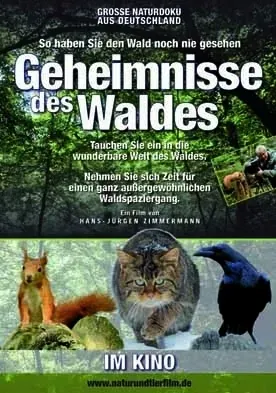 Geheimnisse des Waldes - Plakat