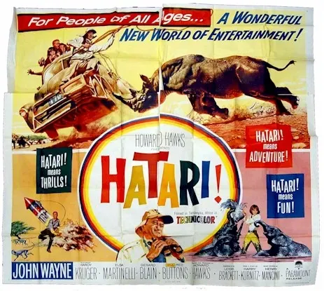Hatari
