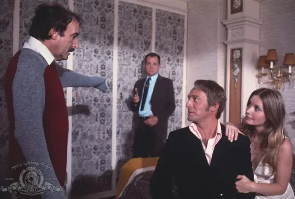 Der rosarote Panther kehrt zurück - Peter Sellers,...chell