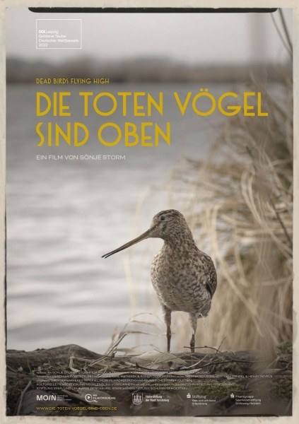 Die toten Vgel sind oben