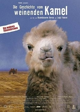 Die Geschichte vom weinenden Kamel  PROKINO Filmverleih GmbH