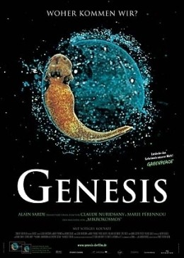 Genesis  2004 Senator Film