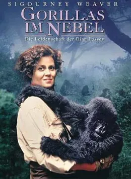 Gorillas im Nebel