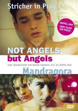 Not Angels But Angels / Mandragora