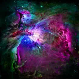 Das kreative Universum