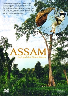 Assam - Im Land der Bienenbume