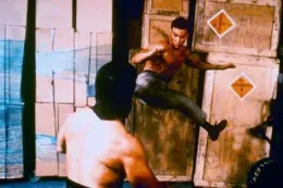 Geballte Ladung - Double Impact