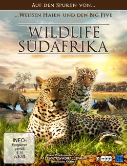 Wildlife Südafrika - Auf den Spuren von weißen Haien...Five