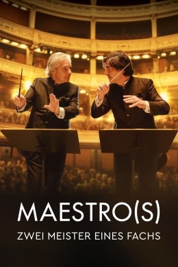Maestro(s) - Zwei Meister eines Fachs