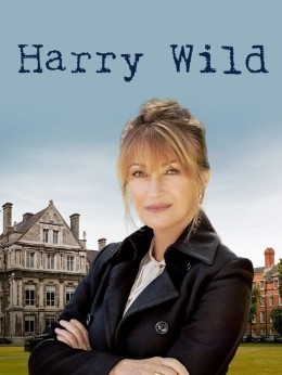 Harry Wild - Mrderjagd in Dublin