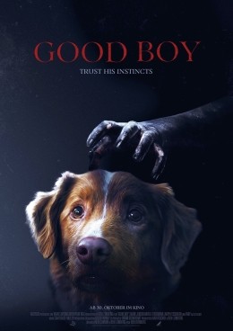 Good Boy -Trust His Instincts