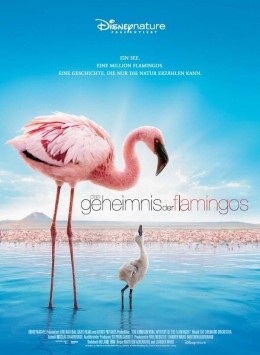 'Das Geheimnis der Flamingos'