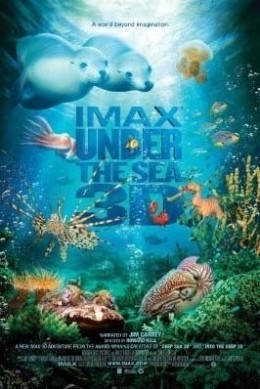Under the Sea 3D - Paradiese im Meer