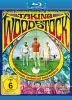 Taking Woodstock - DVD-Cover
