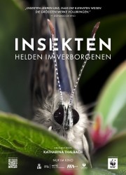 Insekten - Helden im Verborgenen