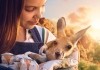 Lilly und die Kngurus