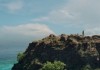 Vaiana