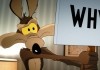 Coyote vs. Acme