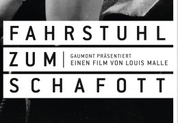 Fahrstuhl zum Schafott