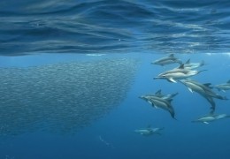 Magisches Mittelmeer