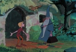 Die Hexe und der Zauberer