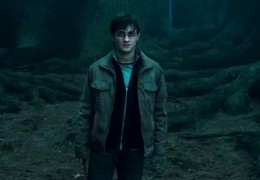 Harry Potter und die Heiligtmer des Todes - Teil 1 -...liffe