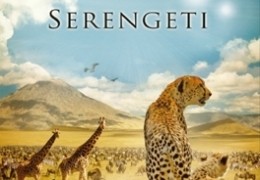 Serengeti