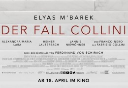 Der Fall Collini