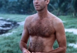 Die Thomas Crown Affre - Pierce Brosnan