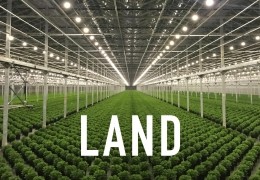 Land