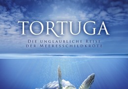 Tortuga: Die unglaubliche Reise der Meeresschildkrte...lakat
