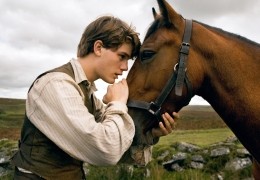 Gefährten - Albert (Jeremy Irvine) und sein Pferd Joey