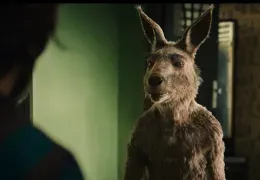 Die Känguru-Chroniken