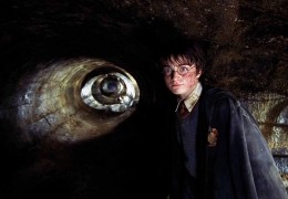 Harry Potter und die Kammer des Schreckens - Daniel...liffe