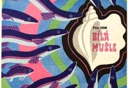 Lütt Matten und die weisse Muschel