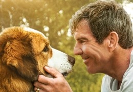 Bailey - Ein Hund kehrt zur�ck