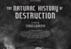 Luftkrieg - Die Naturgeschichte der Zerst�rung
