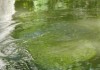 Die gr��ten Fl�sse der Erde