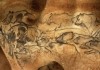 Auf den Spuren pr�historischer K�nstler - Die Chauvet-H�hle