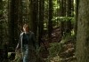 Die Verteidigerin - Der Gesang des Raben